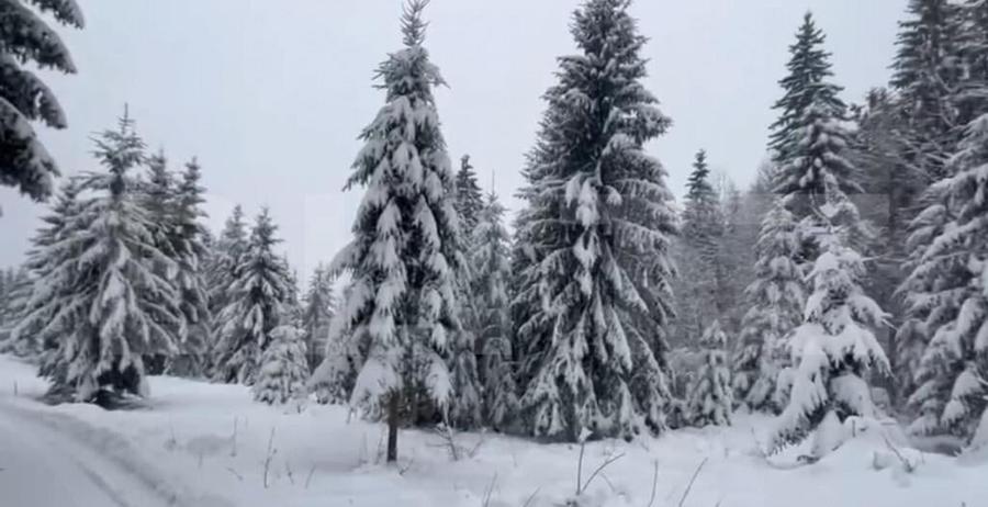 Teren 10,75 ari, intravilan Colibita, cu utilitati - 1