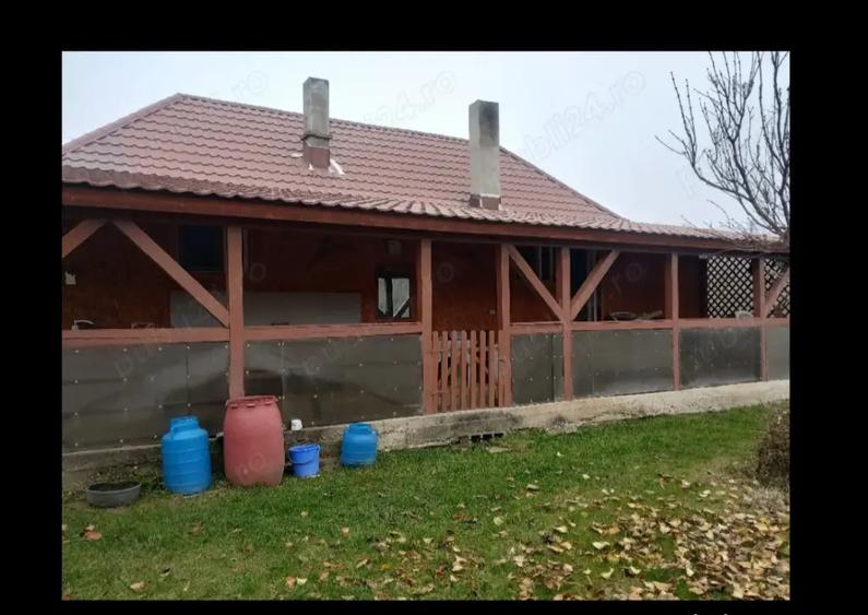 Casa batraneasca, aproape de Bacau,8 km zona superba - 2