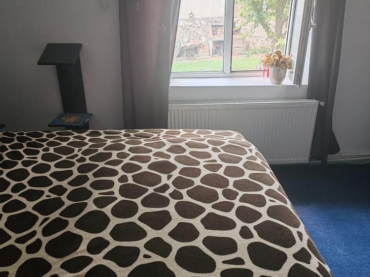 Casa jud constanta 39999 - 5