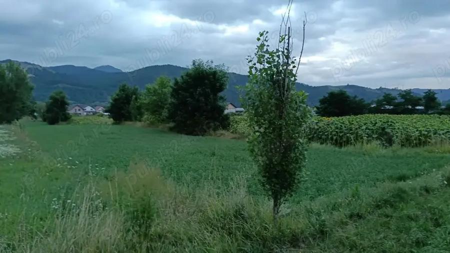 Teren de 2030 mp, în Dofteana