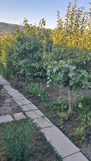 Vand casa cu etaj in Strehaia ,Mehedinti - 6
