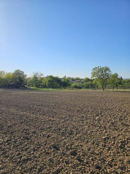 Teren agricol intravilan de 5000 mp, în Cetariu