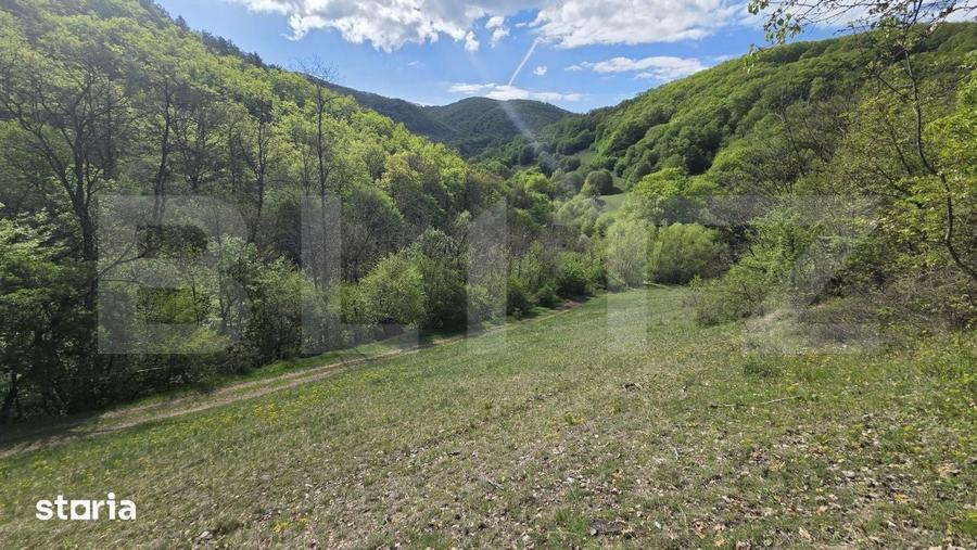 Teren de 9083 mp, în Meteș