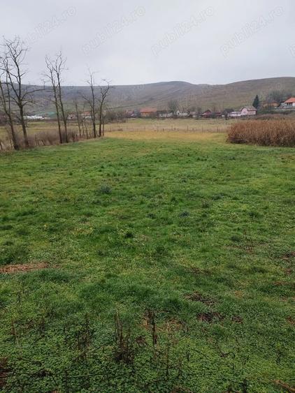 Casă cu 3 camere cu Teren 3629 Mp în Boian