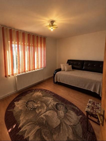 Apartament cu 2 camere semidecomandat în Broșteni