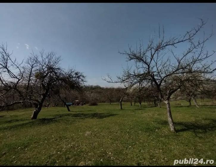 Teren de 6800 mp, în Șișești