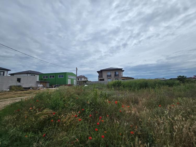 Teren Construcții intravilan de 5000 mp, în Lazu