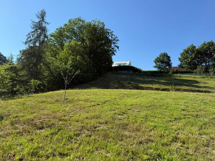 Teren Construcții intravilan de 3434 mp, în Valea Roșie