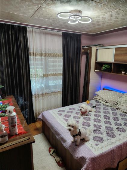 Apartament cu 3 camere decomandat în Exterior Vest