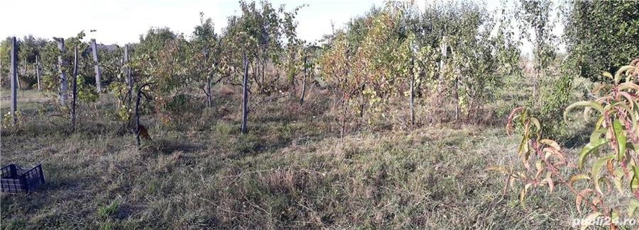 Casă cu 3 camere în Viile Satu Mare