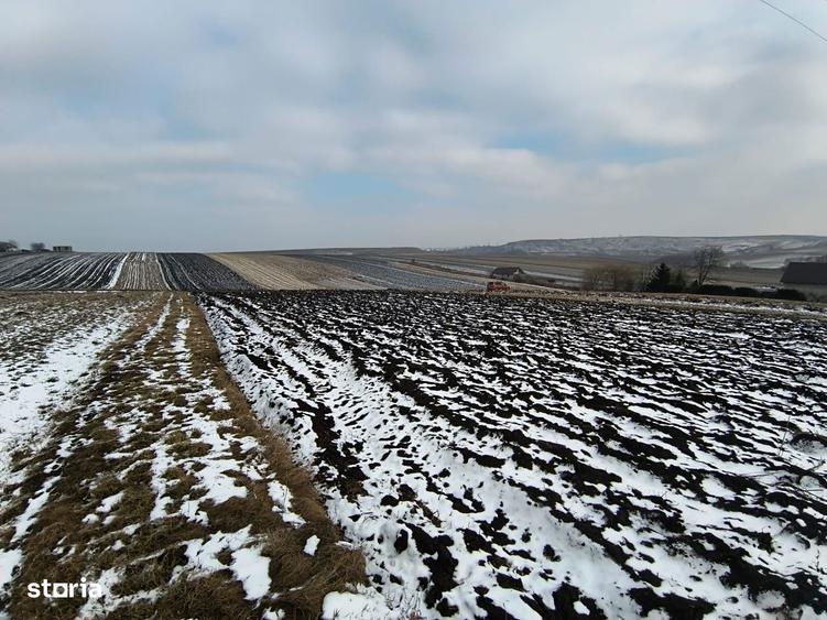 Teren 991 MP | Moara Nica | 22 ml Deschidere | Utilita?i | 38.000 - 8