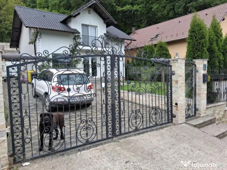 Casa P+Mansarda, 130mp Utili, 500mp Teren, Zona Valea Budacu - 1