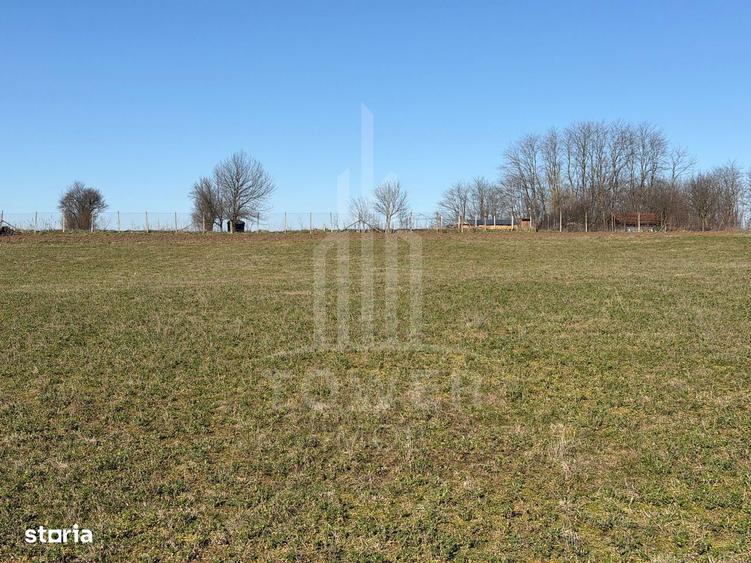 Teren intravilan de vanzare - Ocna Sibiului - 5