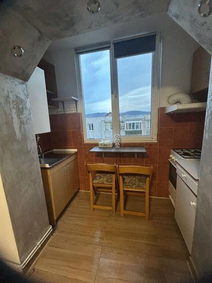 Vand garsoniera situata in Dumbrava Nord - 5