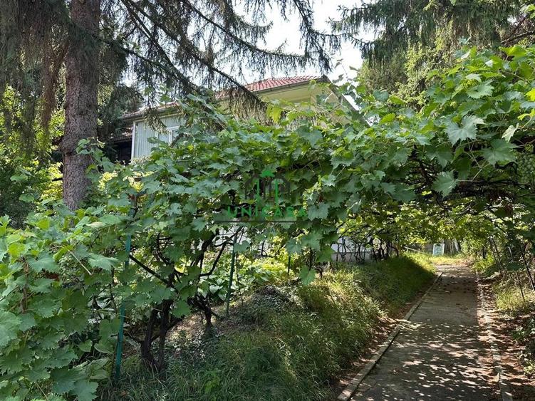 Casa si teren - Zona Ultracentrala - 6