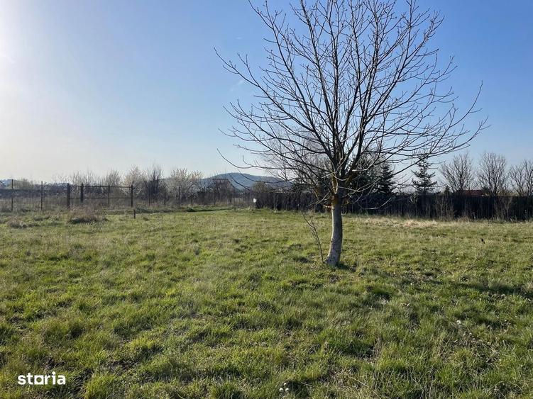 Teren intravilan de vanzare - Harman - 1000 mp - 8