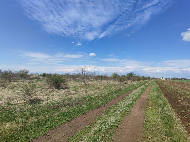 SUPER OFERTA - Loturi teren Peris SUPER OFERTA - Loturi teren Peris