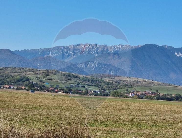 Teren Tohanu Nou, intrare Sohodol, 4800mp - 12