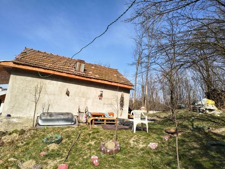 Vanzare casa la tara - 3
