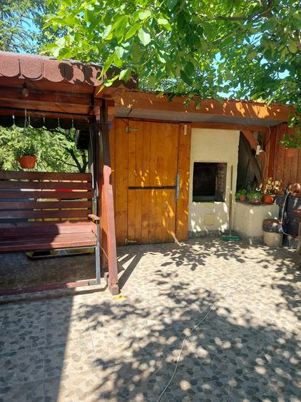 Casa tip cabana cu livada jud Alba - 6
