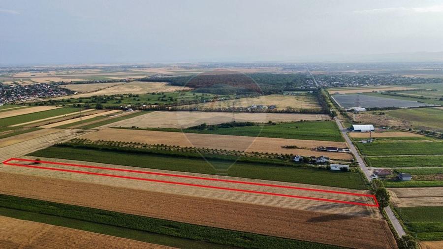 Teren 7,830mp Vanatori / Strada DJ204E - 2