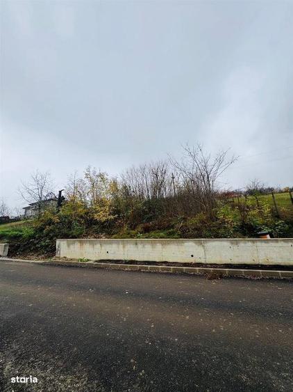 Teren Intravilan 2149 mp strada Sofiei - 3