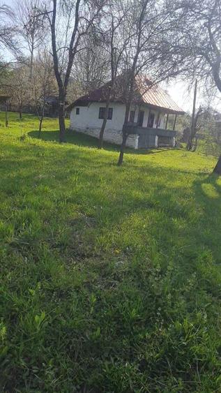 Casa 2 camere 4000 mp langa Vidradru 7 km 34 000 euro - 7