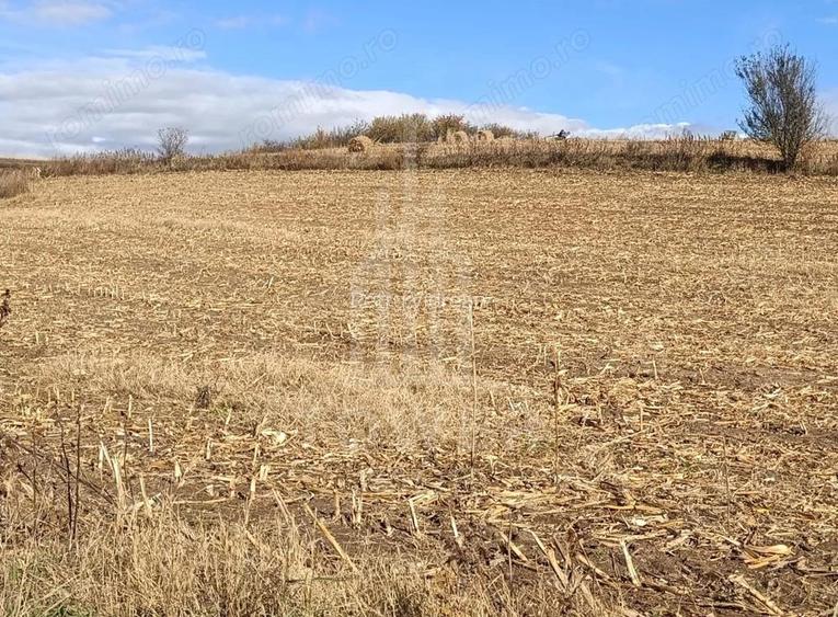 Teren extravilan in Sura Mare