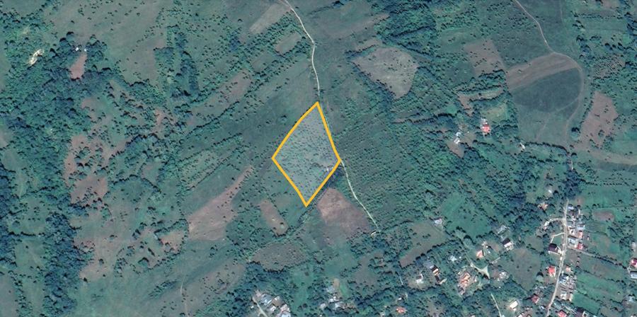 Teren intravilan – 9.000 mp, sat Ogretin, comuna Drajna, jud. Prahova - 4