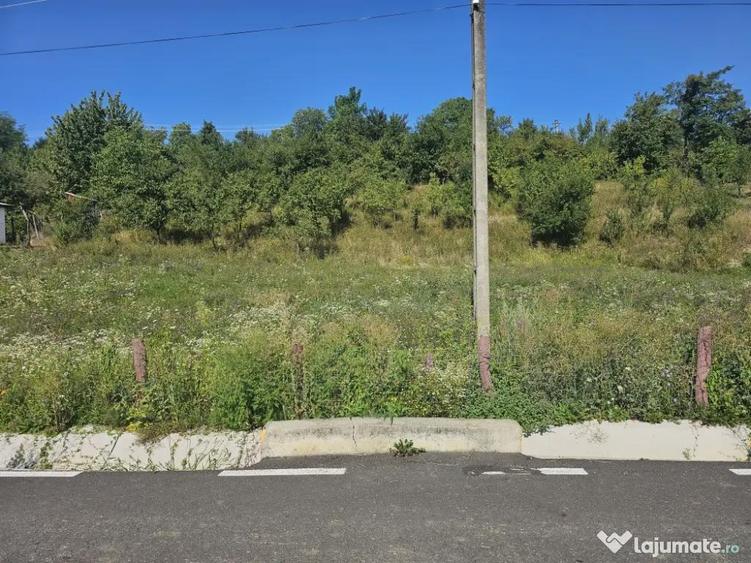 Loturi de vanzare! - 4