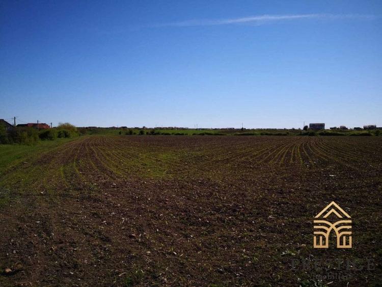 Parcele de teren intravilan de vanzare in Cart. Lotus ,Sanmartin-Bihor - 9