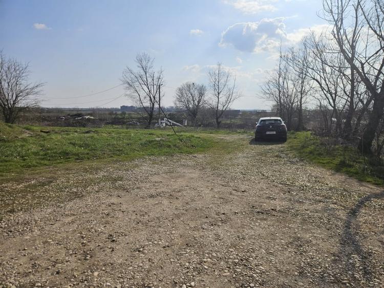 Teren 555mp in Clinceni central Mega Image - 4