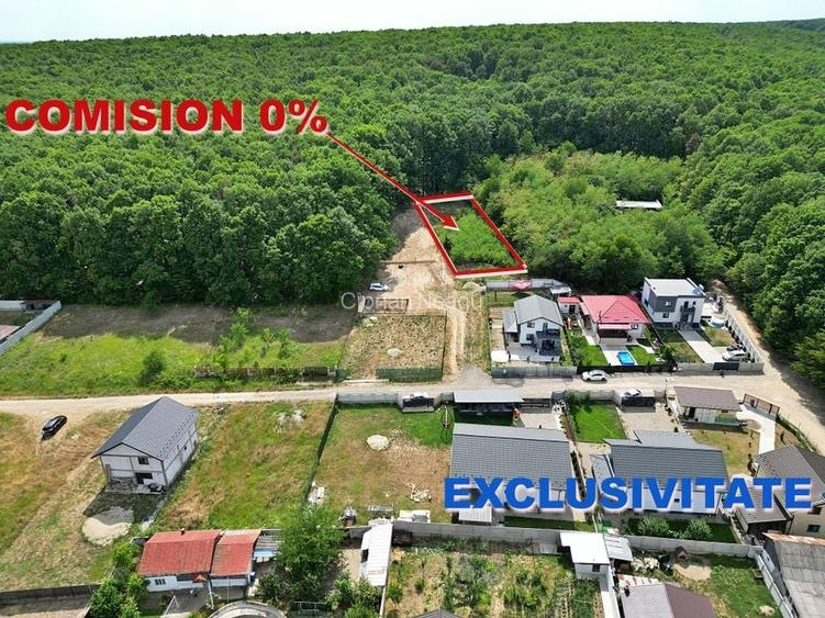 AZURA Imobiliare - Vanzare teren Hintesti, langa padure, 300m din DN