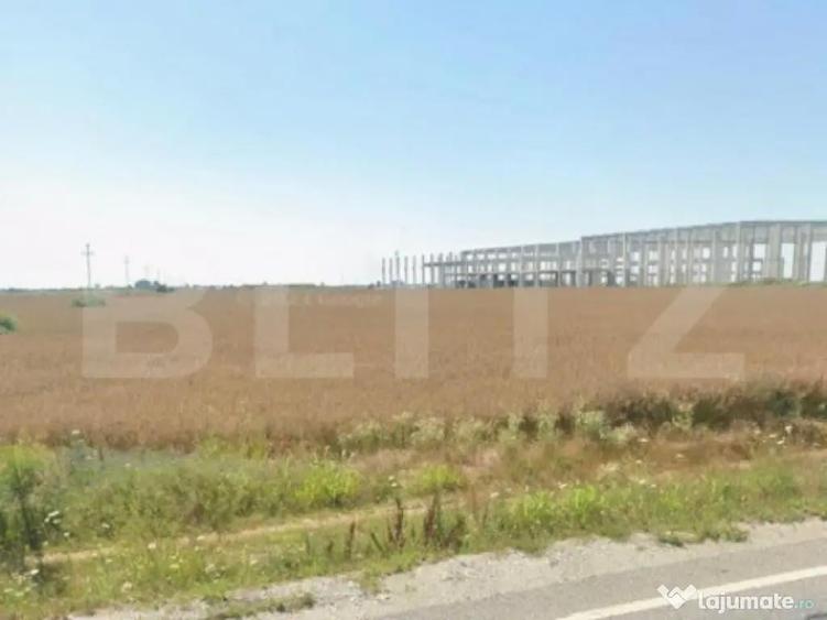 Teren intravilan, 18.802 mp, zona Carcea - 2