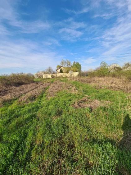 Teren intravilan - loc de casa Mihailesti - 1
