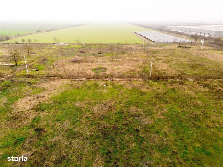 RECO teren de vanzare in Palota - 2