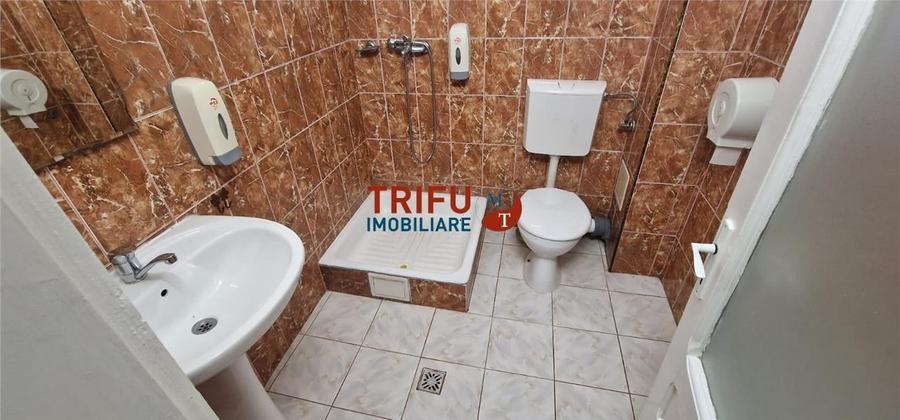 Casa de vanzare 9 camere 878 mp teren zona Barabant - 14