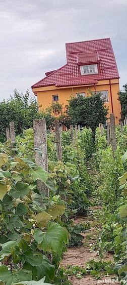 Vila P+1 in Craiova 250000 - 1