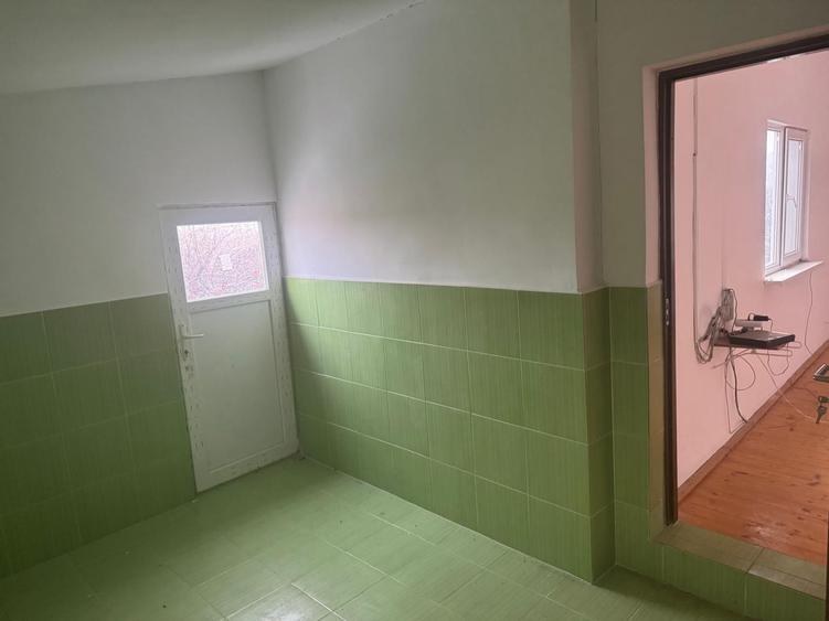 Tomesti - Osoi, vila cu spatiu comercial la parter , 2400mp teren cu iaz si pomi - 15