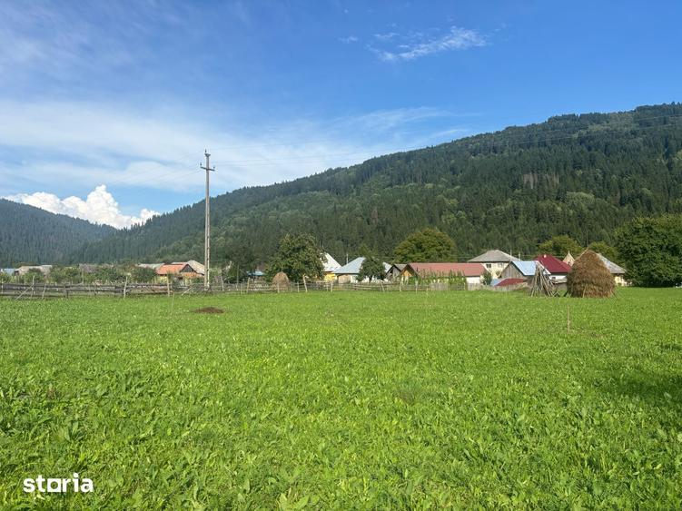 Teren de 7100 mp, în Grințieș