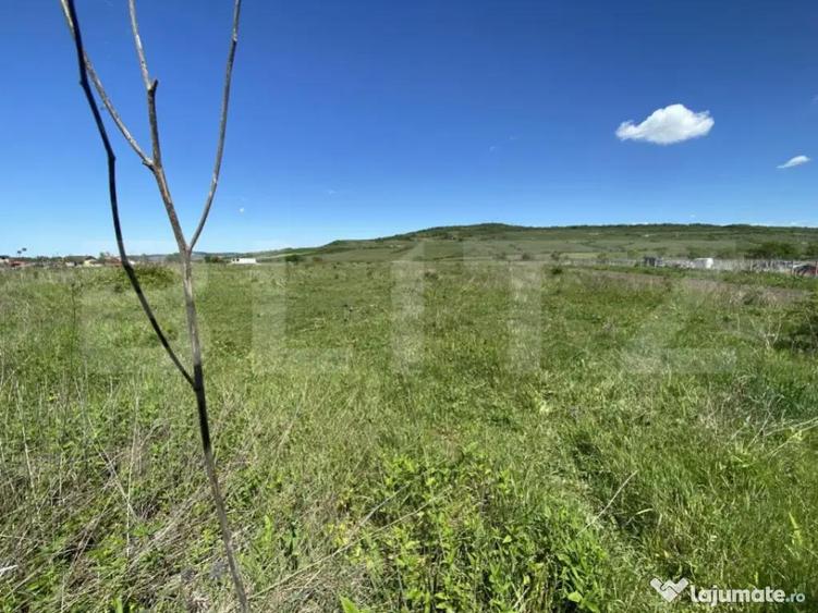 Teren Intravilan zona Industriala - 2