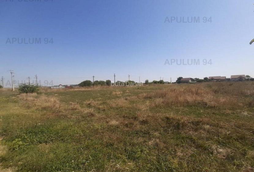 Teren pentru investitie langa Bucuresti