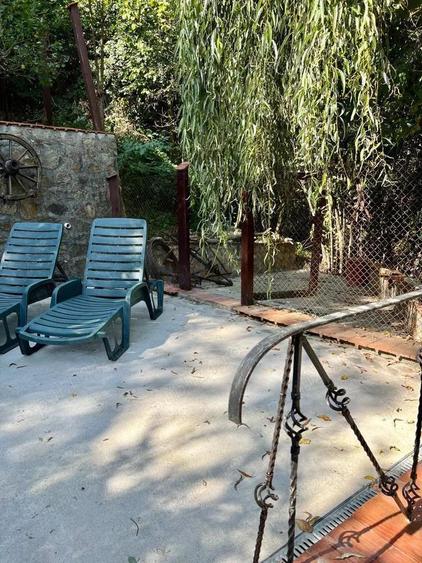 Vand casa Sasca Montana - 1