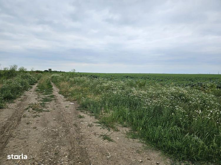 Planul I 14.832 mp Slatina bucla Drum Expres DX12 - DJ 546 - 5