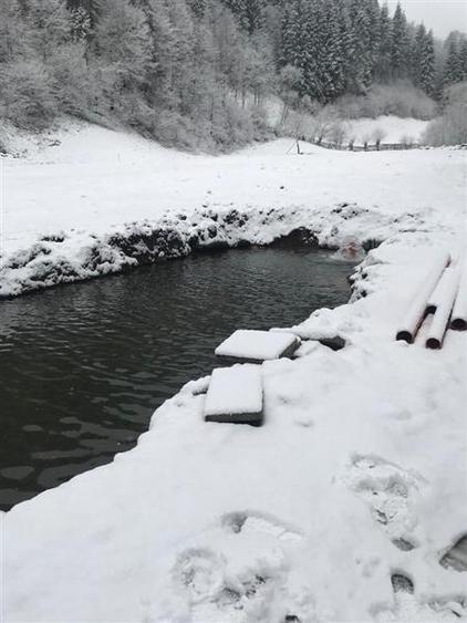 Teren pentru cabana Racatau - 5