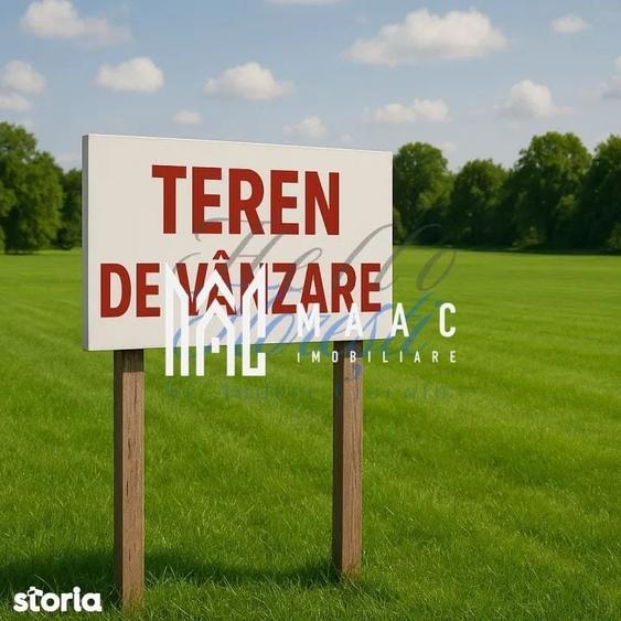 Teren intravilan 5500 mp pretabil case Cristian - 2