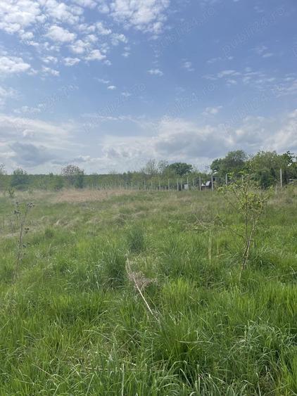 Tautii Magheraus, parcela 550 mp,strada 61, la doar 3300 euro ar. - 2