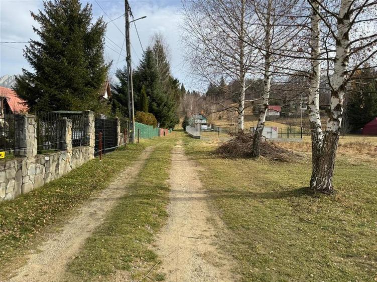 Teren de vanzare 1000 m2 Cheia - 5