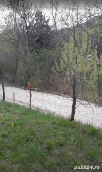 Teren intre case - 4