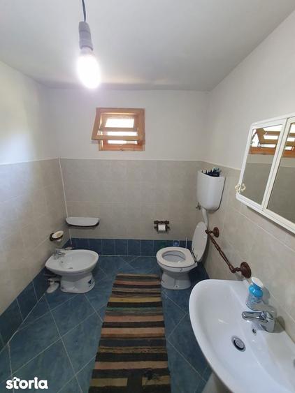 De vanzare cabana la munte, formata din 3 camere,teren de 800mp 55000e - 9
